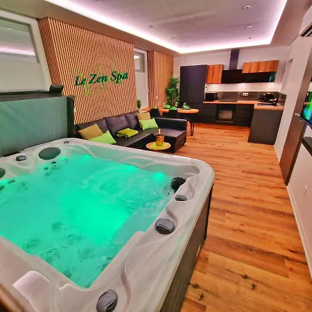 Zen Spa-4 Pers-jacuzzi-parking-clim-colmar Appartement *