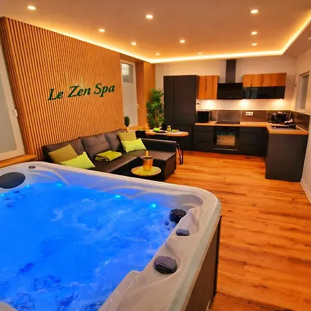 Zen Spa-4 Pers-jacuzzi-parking-clim-colmar Apartmán Colmar